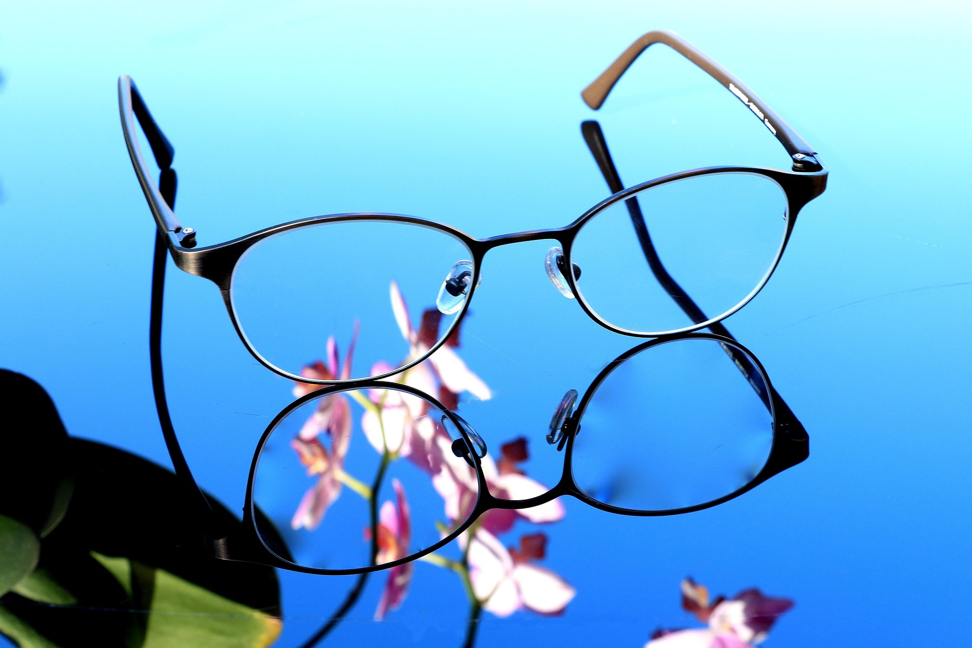 Glasses 1698766