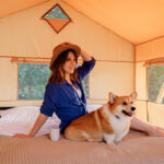 Hotel pet friendly romagna